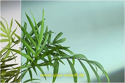 (c) 2004 www.Glas-Scholl.de